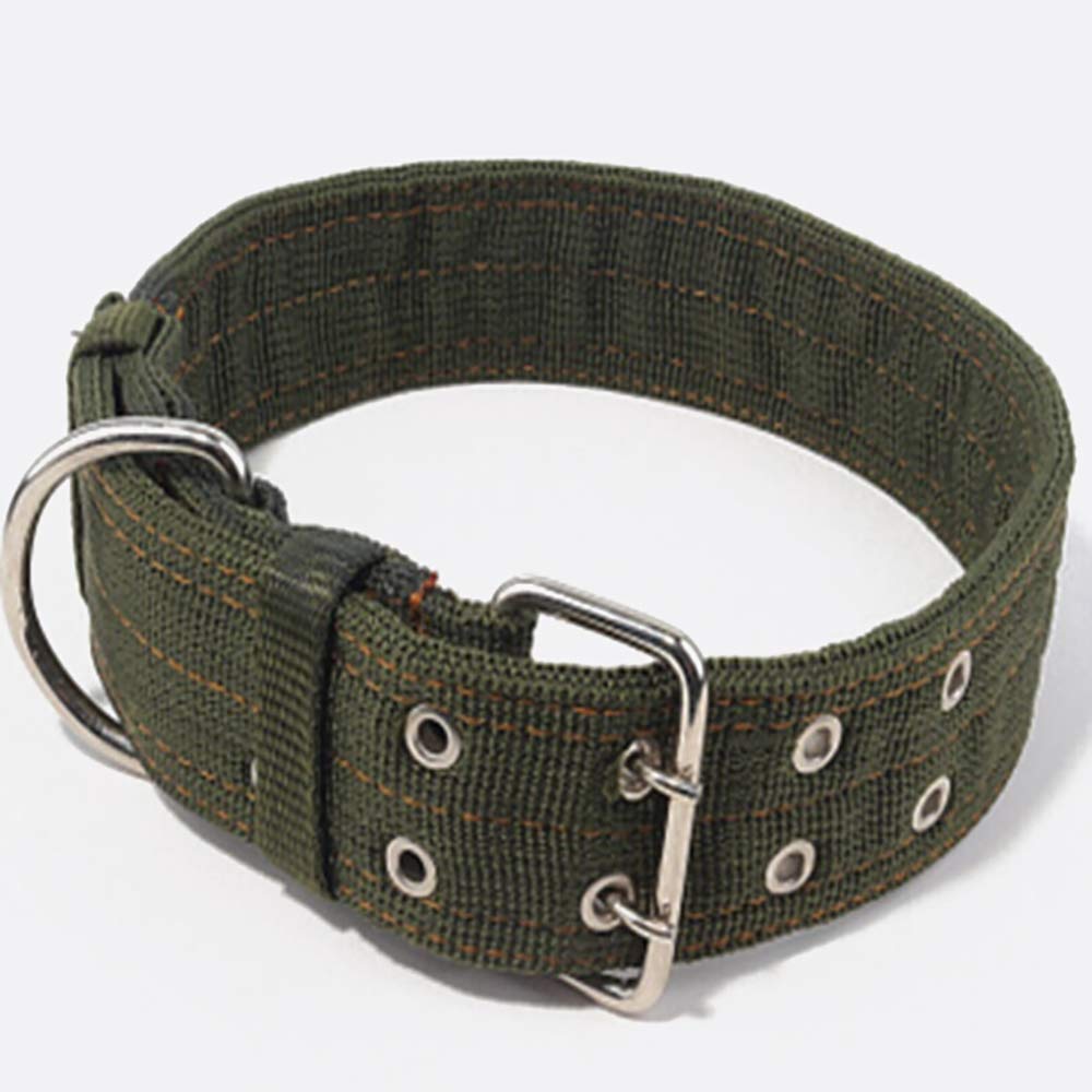 大型犬用　首輪・リードセットで★ASHBURY ★ゴールデンレトリバー h0609.jpg