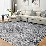 Area Rug Living Room Rugs: 8x10 Indoor Abstract Soft Fluffy Pile Large Carpet with Low Shaggy for Be