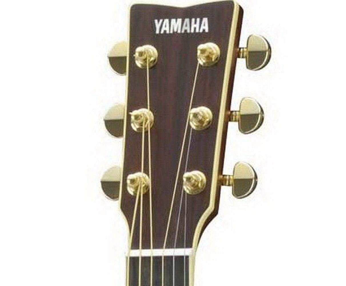 YAMAHAアコースティックギター LS 16M ARE YAMAHA LS16M ARE NT｜ミュージックランドKEY