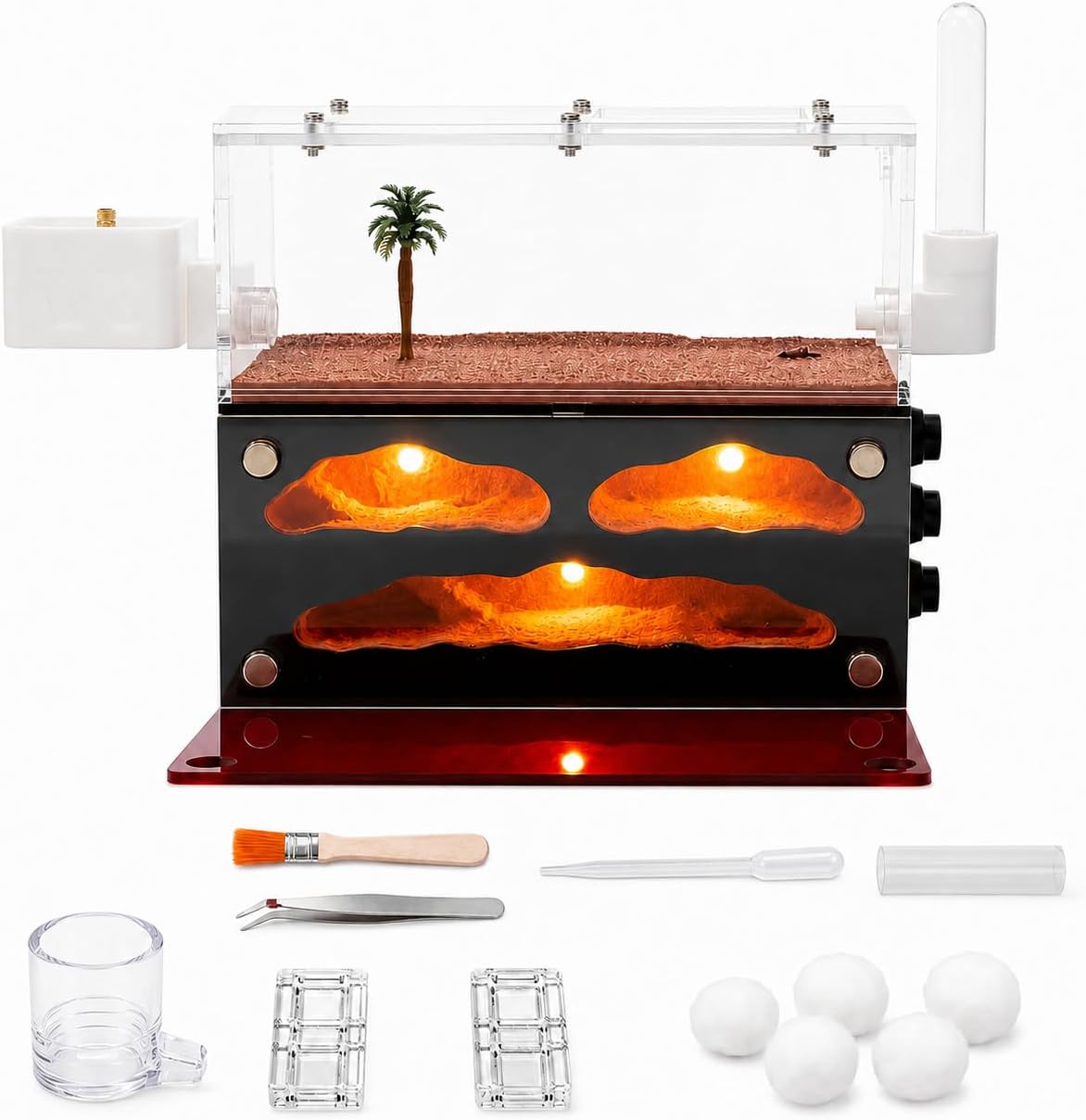 Lumen Chamber Ant Nest with Built in LED Lights, Replaceable Light Module, Water Feeder, Trash Box and Ant Keeping Starter Lit