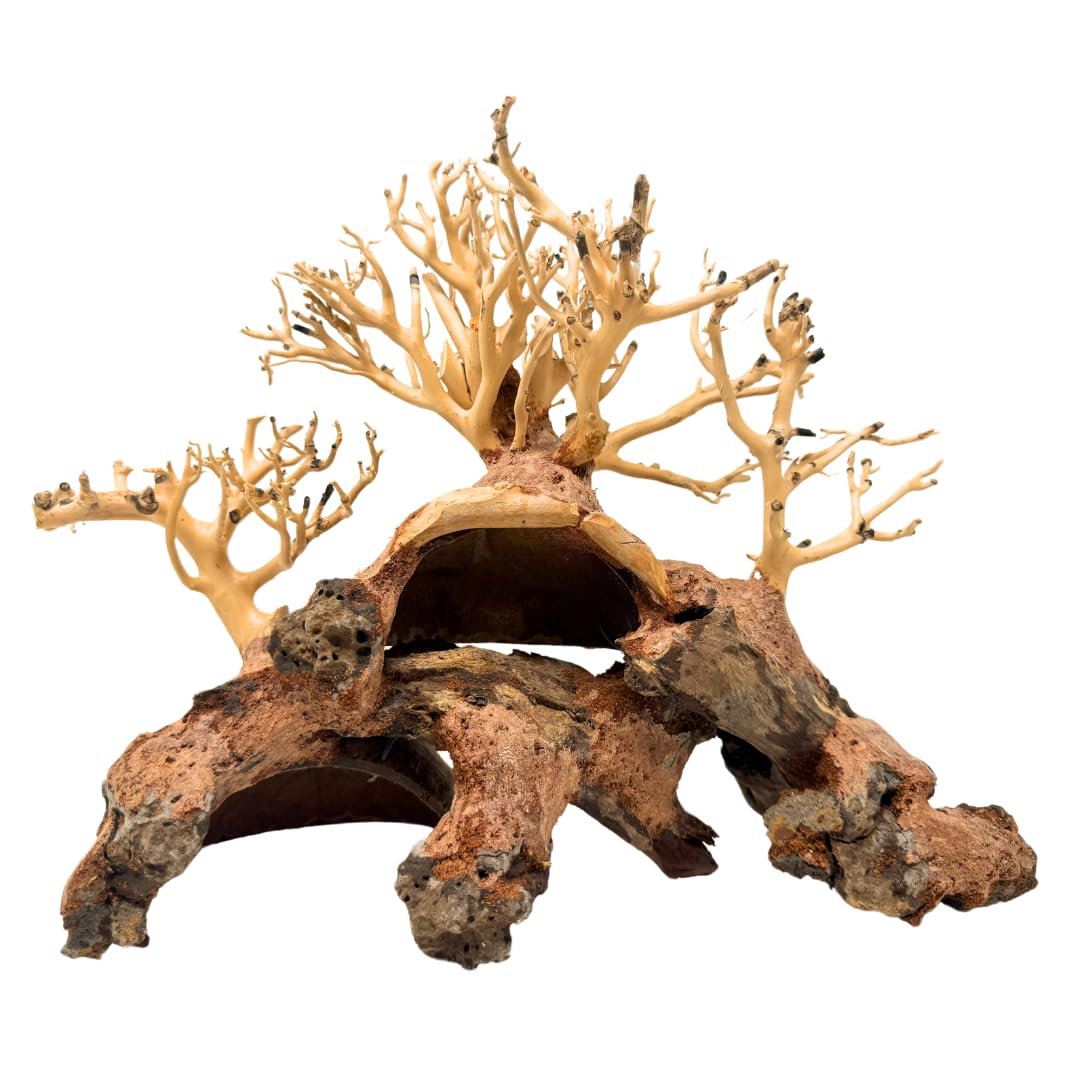 Bonsai Driftwood Aquarium Trees on Rock (9