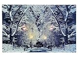 zeitzone LED Bild Schneelandschaft Park Beleuchtet Weihnachten Winterlandschaft 38x58cm