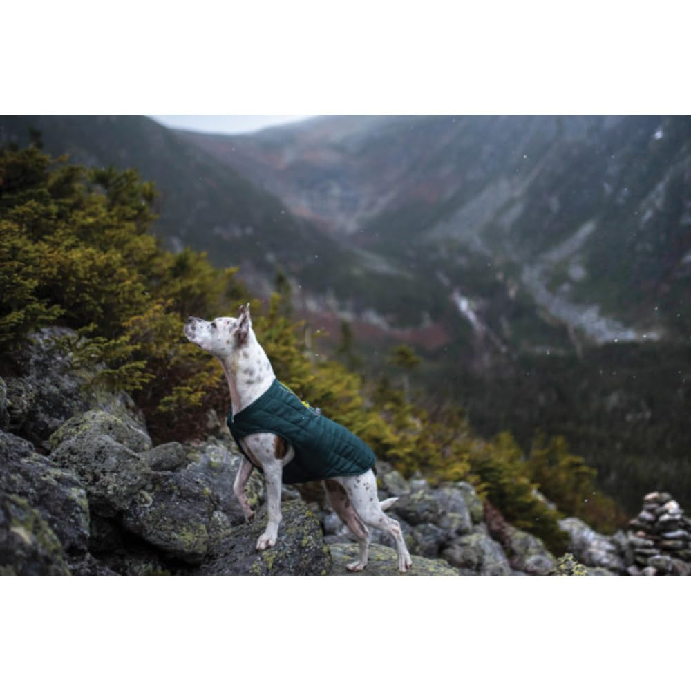 Kurgo Loft Hundejacke - Wendbarer Bequemer Hundemantel für Outdoor-Abenteuer - Wasserabweisend - Sportliche Passform - Waschmschinengeeignet - Reflektierendes Hundezubehör - XL - Tintenblau