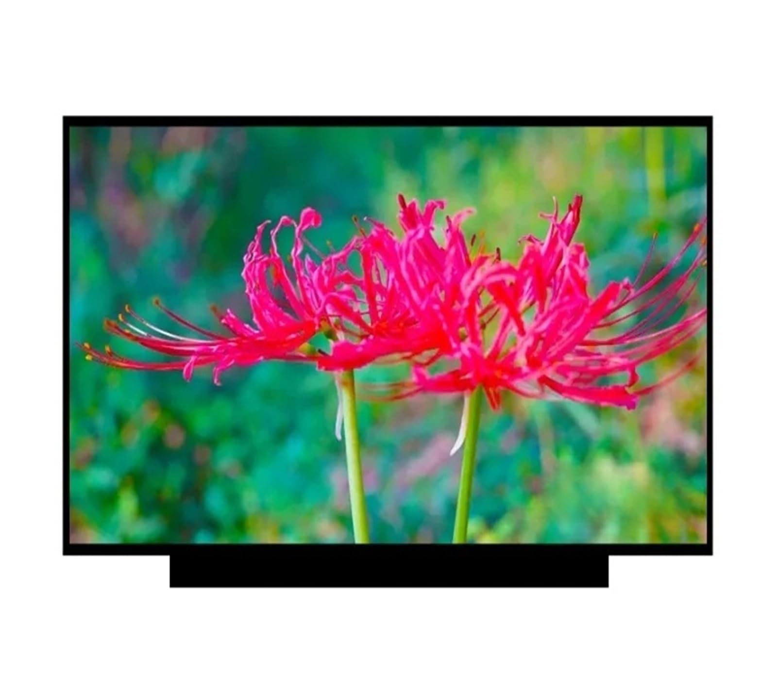 Chromebook 15-de0517wm 15-de0518wm, Compatibile Con HP, Schermo LCD
