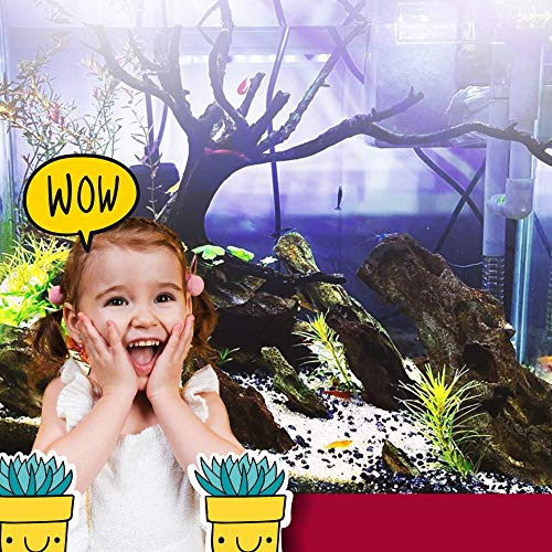 Dr. Moss Aquarium Small Malaysian Driftwood Luxurious Set For Fish Tank Decor, Real Wood Bogwood 5"-7" (2 Pieces) #TOP3