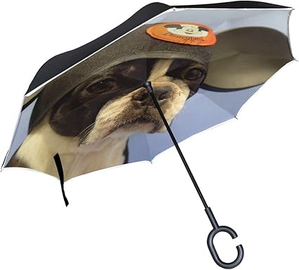 umbrella for dogs amazon