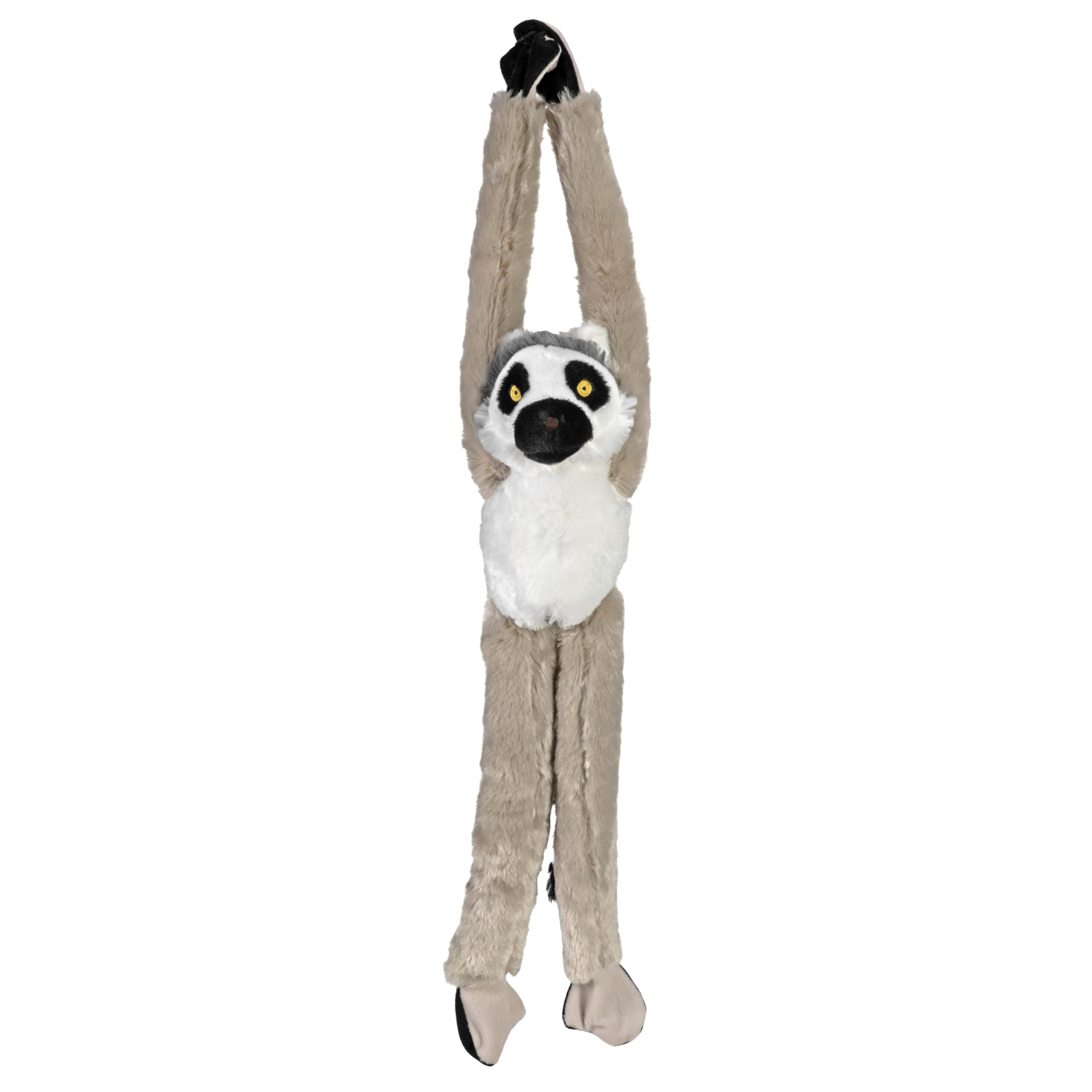 Amazon.com: Wild Republic Ecokins Hanging Ring Tailed Lemur
