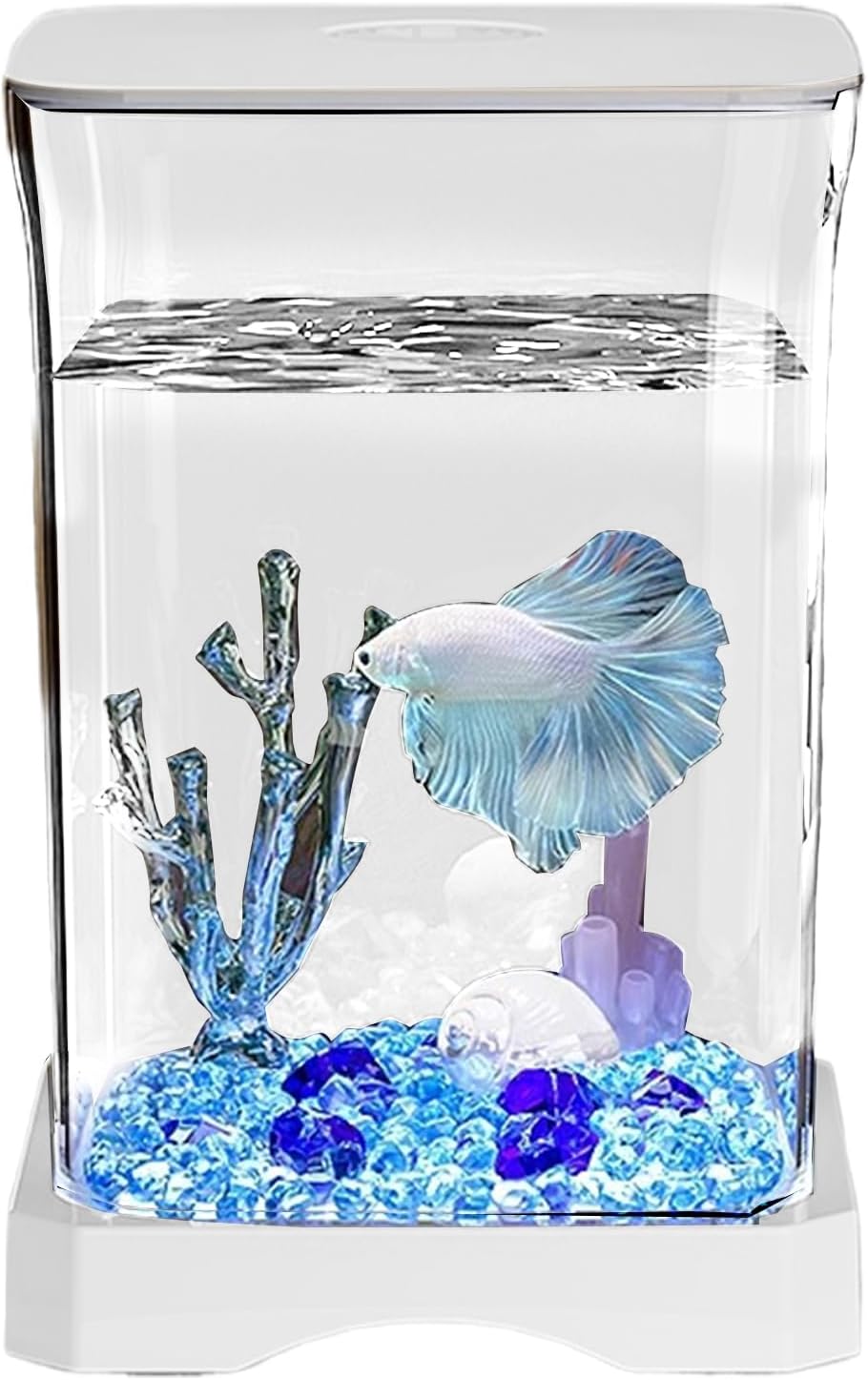 Tabletop Aquarium Kit - Betta Fish Tank, Small Starter Setup with LED Lamp Lighting, Rectangular Glass Container, Desktop Decoration Piece for Home Office Display, Clear Viewing Design
