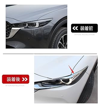 61NEYJT78mL._UF350,350_QL80_.jpg