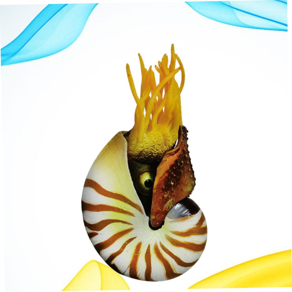 ULTECHNOVO 2 Pezzi Decorazioni a Guscio Conchiglia Nautilus Arredamento di Conchiglie Decorazione di Grandi Dimensioni Conchiglie di Mare Conchiglie di Acquari Acquario