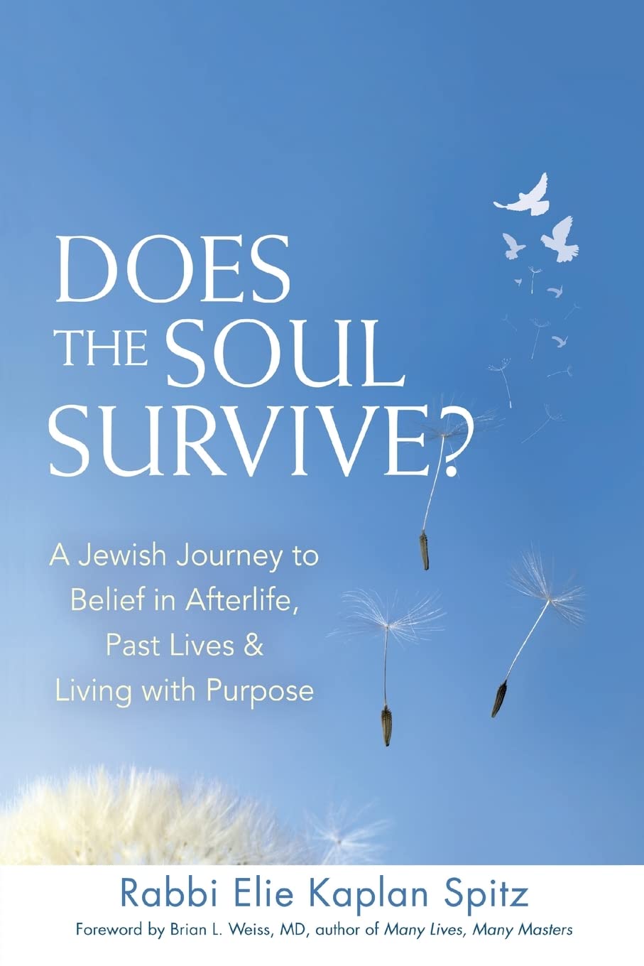 Does the Soul Survive?: A Jewish Journey to Belief in Afterlife, Past Lives & Living with Purpose