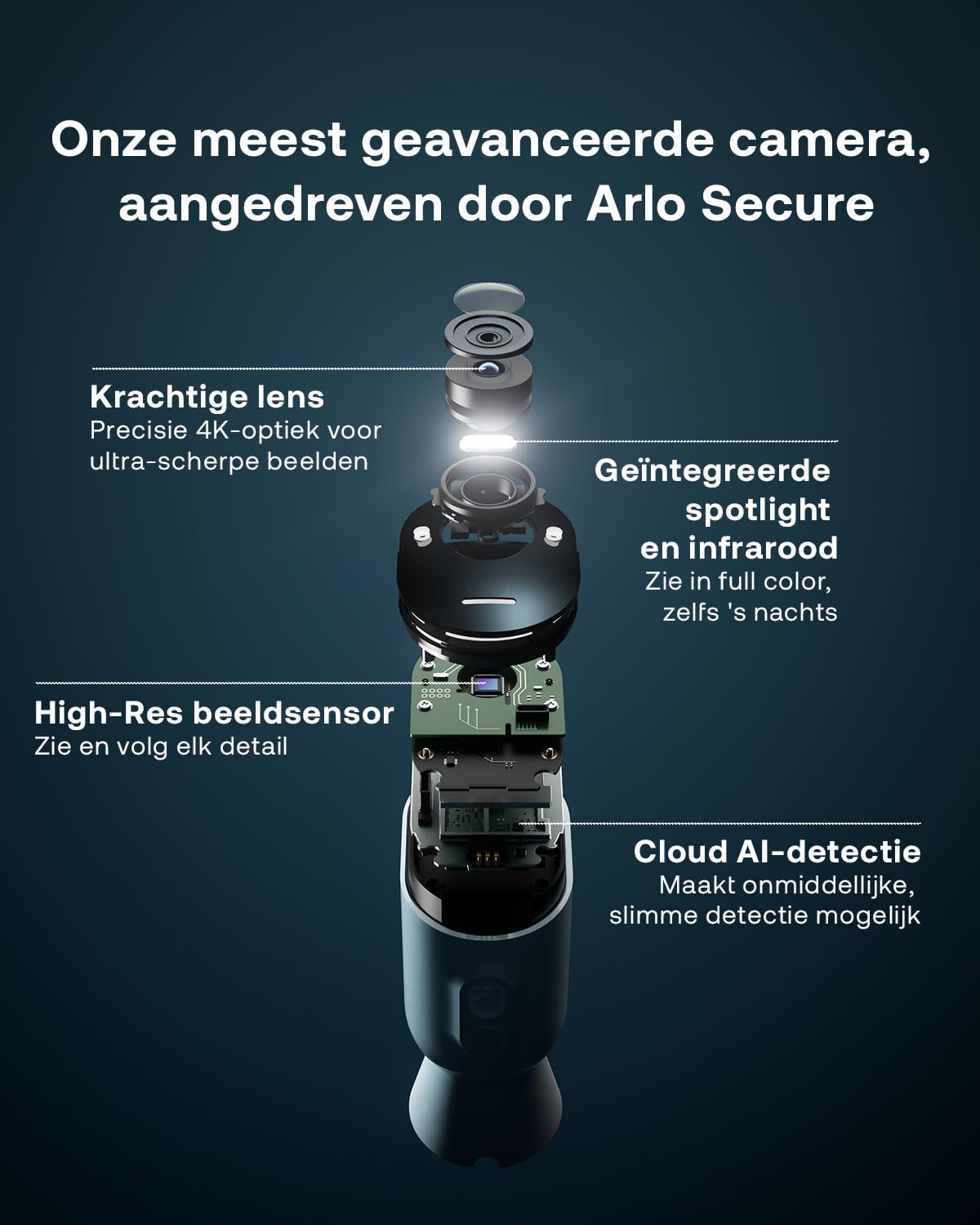 Arlo