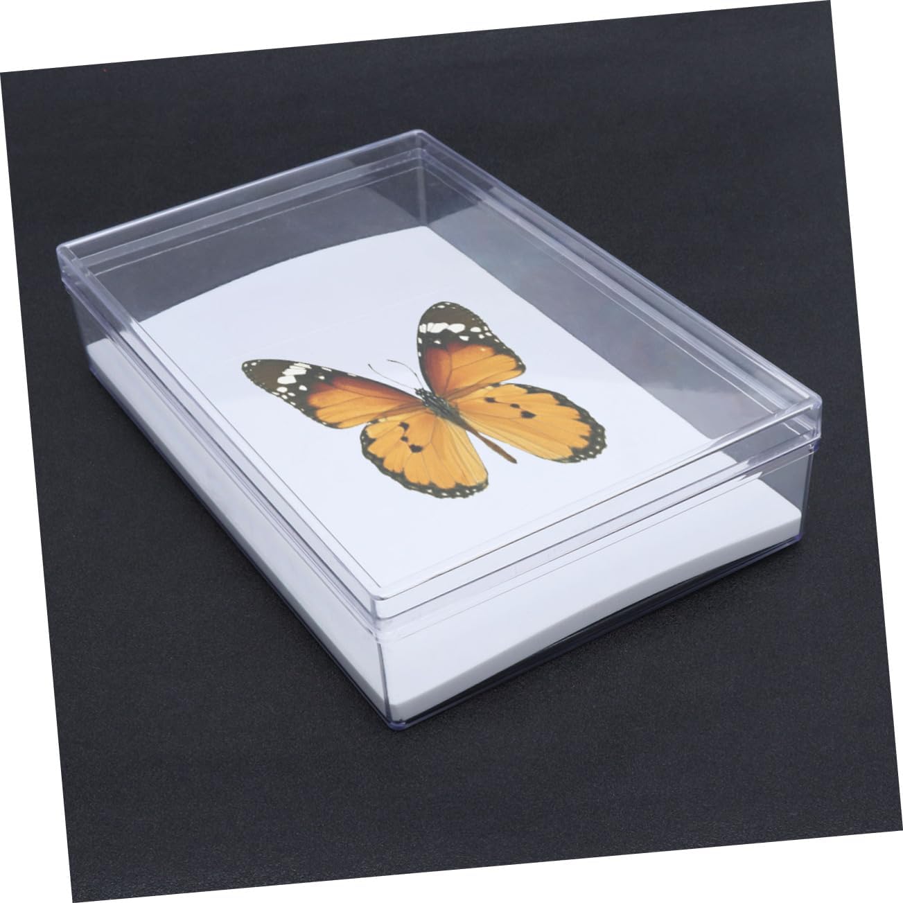 Amosfun Insect Specimen Display Box Crystal Case Pinning Board for Scientific Education 280x180x60mm for Bug Collection and Biology Projects
