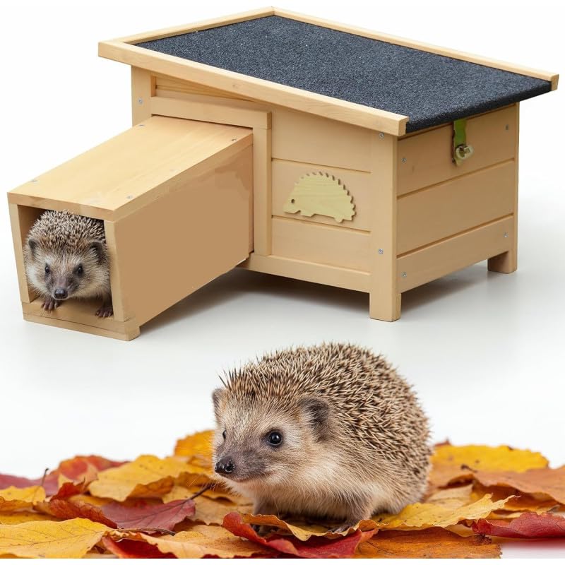 BB Loisir Abri Cabane Mangeoire Hérisson Refuge éxtérieur en Bois Massif Hibernation Hiver Hugo