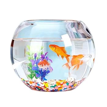 津軽びいどろ 水槽 金魚鉢 めだか鉢　アクアリウム　苔 楽天市場】送料無料【 津軽びいどろ 金魚鉢 】インテリア ギフト