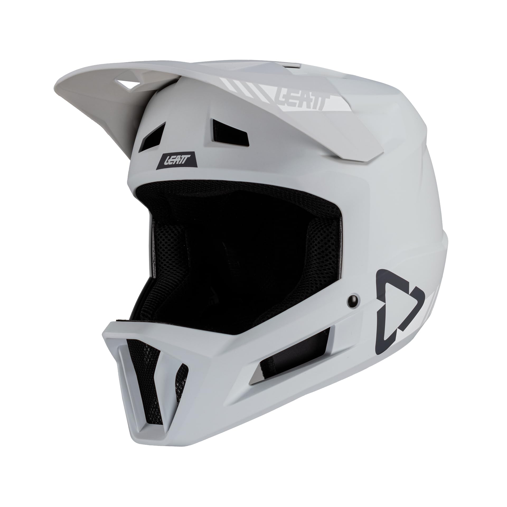 Leatt Downhill MTB-Helm 1.0 Gravity Stahl