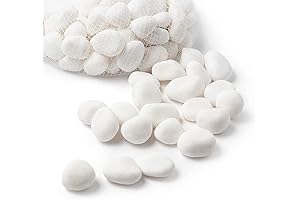 Royal Imports 5LB Decorative Stones River Pebbles