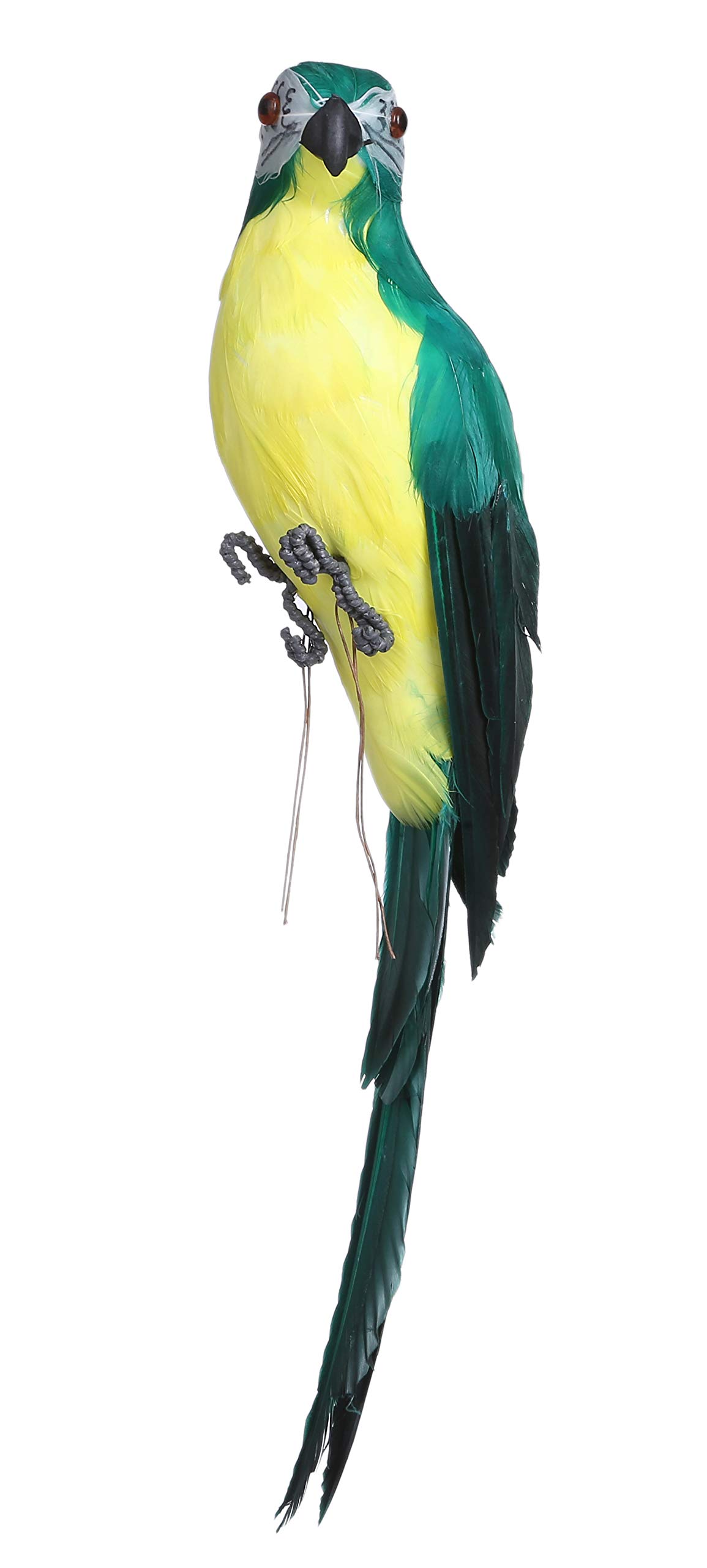 鳥の置物 値下げ】カラフル南国鳥のオブジェ（3種）【WA-10】 | 卸売