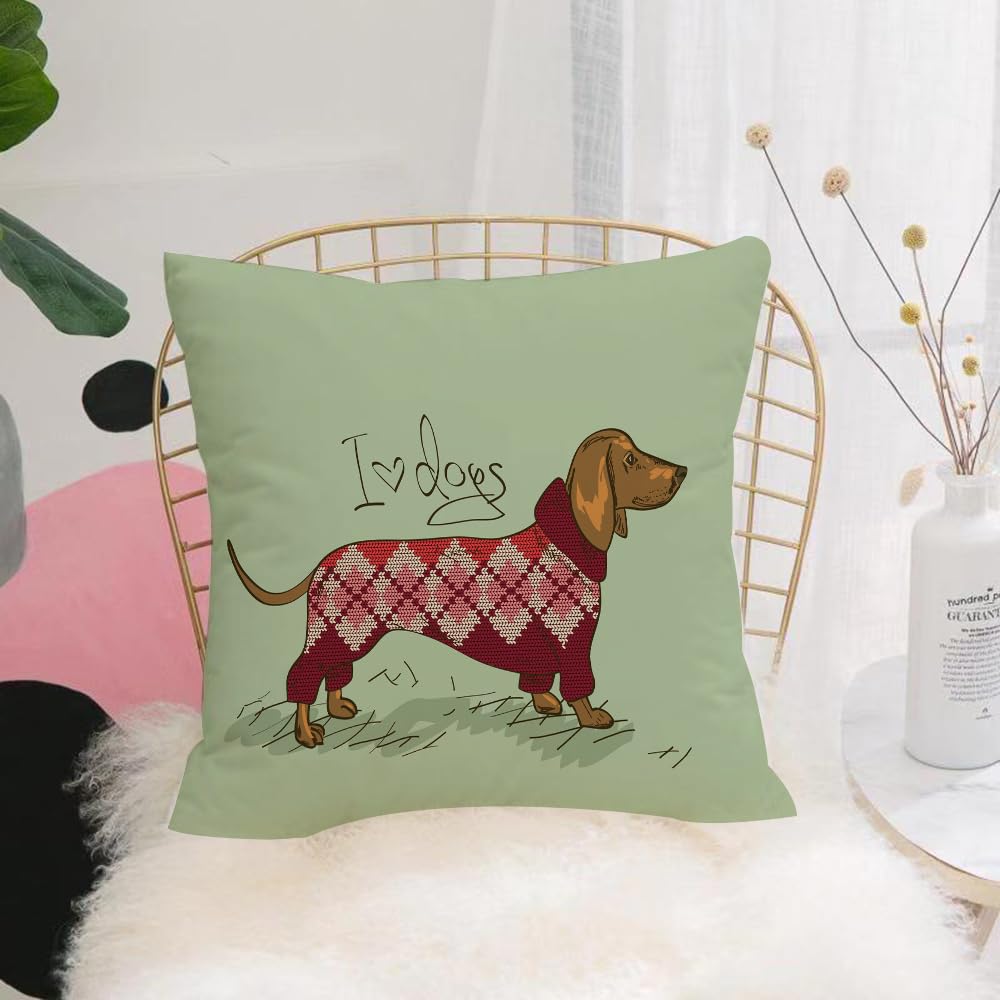 HYOSXW Cushion Cover,Throw Pillow Case Home Decorative for Living Room Bedroom Sofa Chair 16X16 Inch,Illustration with Dachshund dog dressed in knitted clothes,Pillowcase 40X40cm