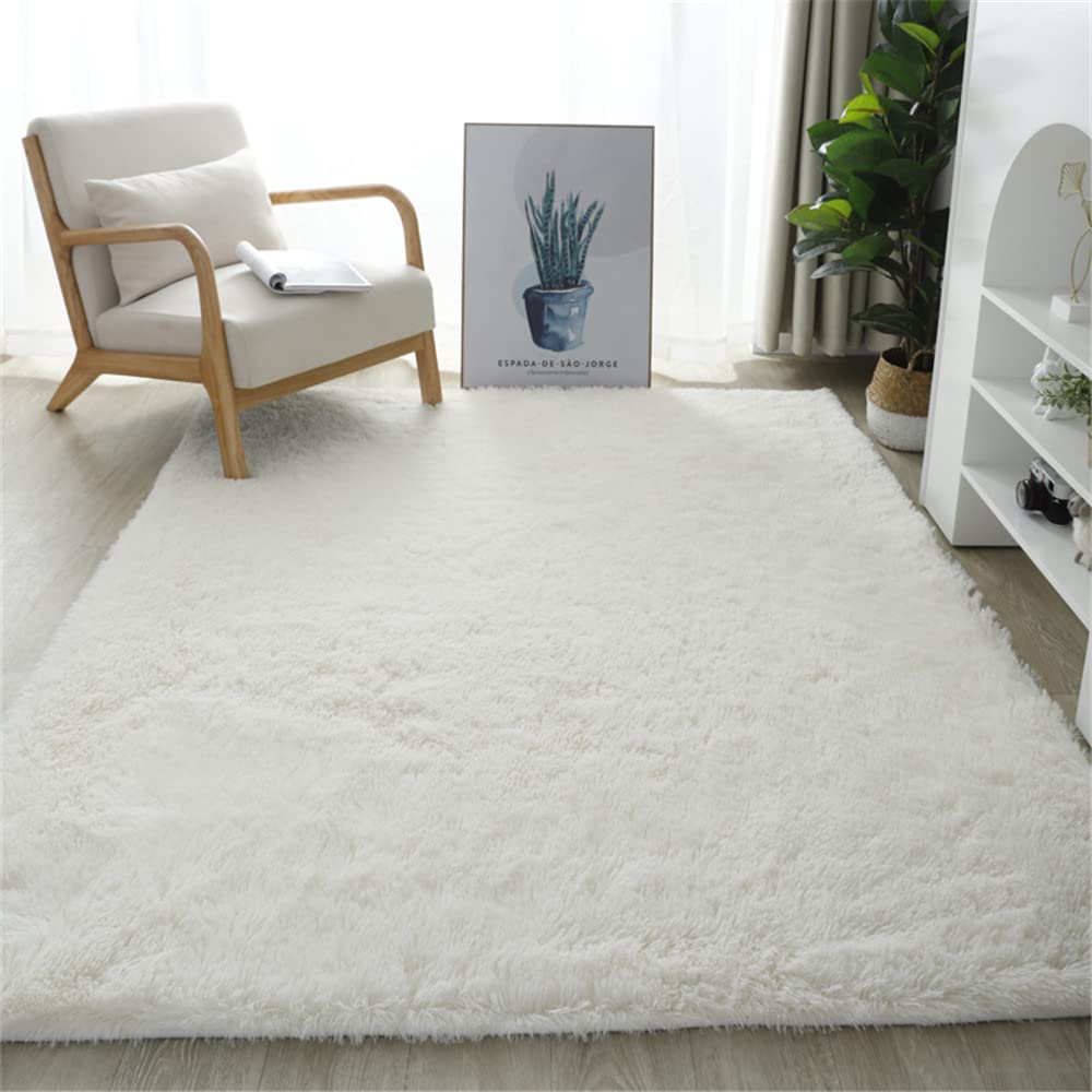 Hiseng Extra Soft Indoor Area Rug, Modern Fluffy Long Carpet Living Room Shaggy Nursery Kids Playing Mat Bedroom Dining Room Floor Mat Home Decor (100x160cm,White)