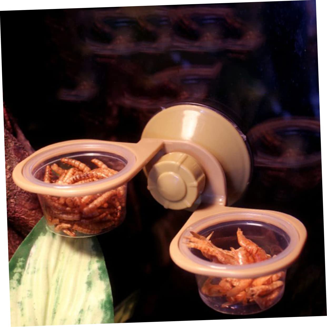 Mikikit 2PCS Escape Lizard Feeding Bowl Suction Cup Water Dish for Reptiles Compact Pet Feeder Accessories Lightweight and Portable for Reptile Care