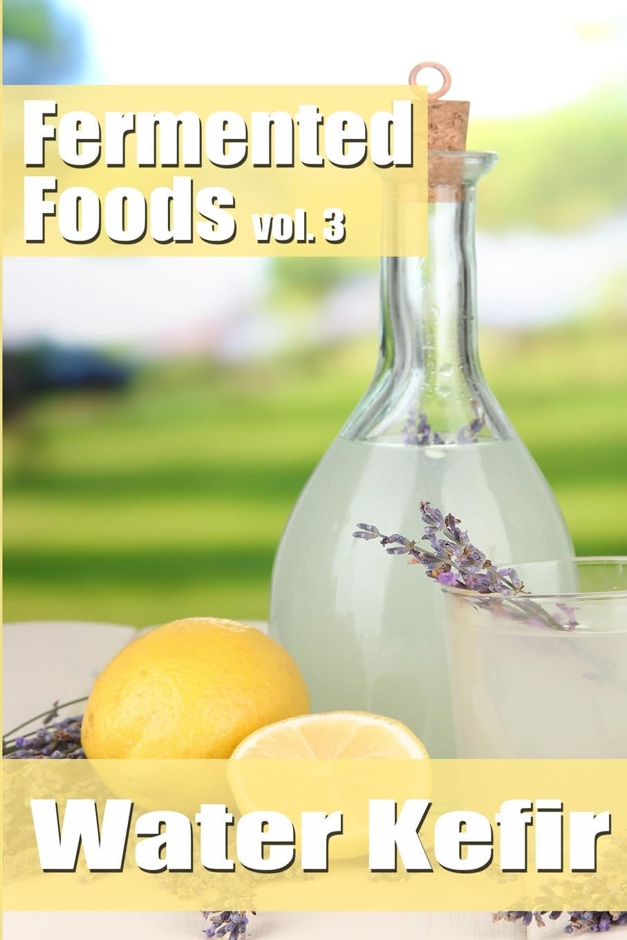 Fermented Foods vol. 3: Water Kefir: Volume 3 (The Food Preservation Series)
