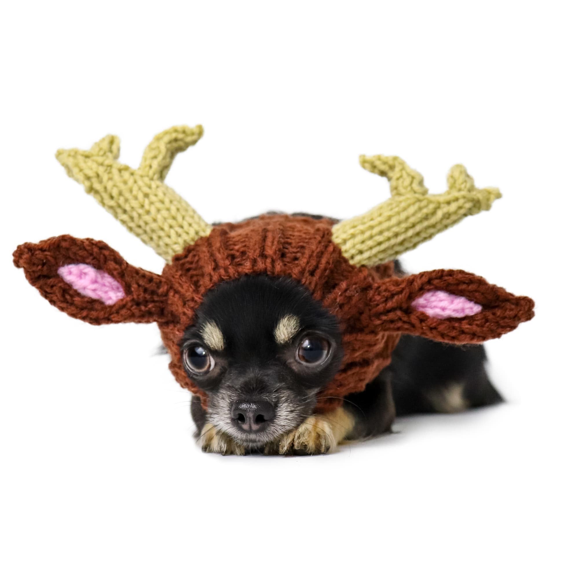 Zoo Snoods Reindeer Costume - Knit Deer Antler Crochet Snood Wrap for Pets, Neck Ear Cover Protection, Halloween Christmas (Small)