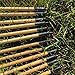 WATERMELON 12 / 24PCS 32 '' Hermosa Pluma Blanca de Madera Tradicional...