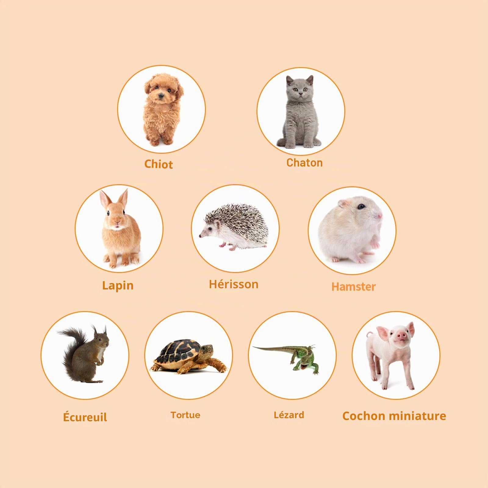 Homegroove Enclos d'extérieur pour chats d'intérieur, maison de jeu portable 6 en 1 (tente extérieure pour chat et tunnel circulaire pour chat) pour chats et petits animaux, parc d'intérieur avec sac