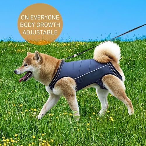 Hundegeschirr, Hebegeschirr für kleine und mittlere Hunde für alte,Gelenkverletzungen-Hebegurt für Haustiere, Ganzkörpergeschirr, Hunde Tragetasche mit Schultergurt, Weich, Einstellbar (Marineblau, M)
