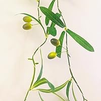 Vista 8 de Guirnalda de hojas de olivo artificiales con hojas colgantes de hiedra de olivo, enredaderas, ramas de olivo, guirnalda de vegetación para boda