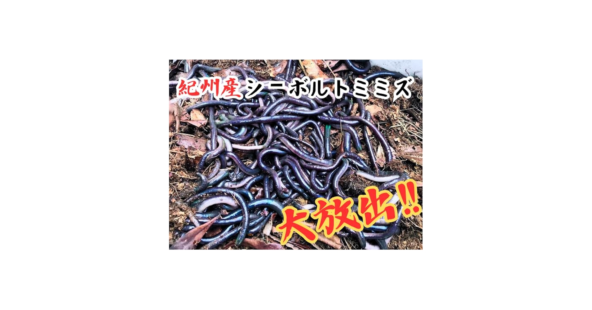 Amazon | シーボルトミミズ 10匹＋α (30) | ノーブランド品