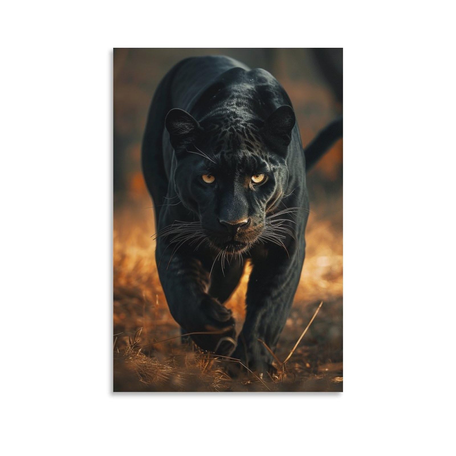 Black Panther Print, Canvas Wall Art, Pictures for Living Room And Bedroom, Prints for Special Occasions 20x30inch(50x75cm)