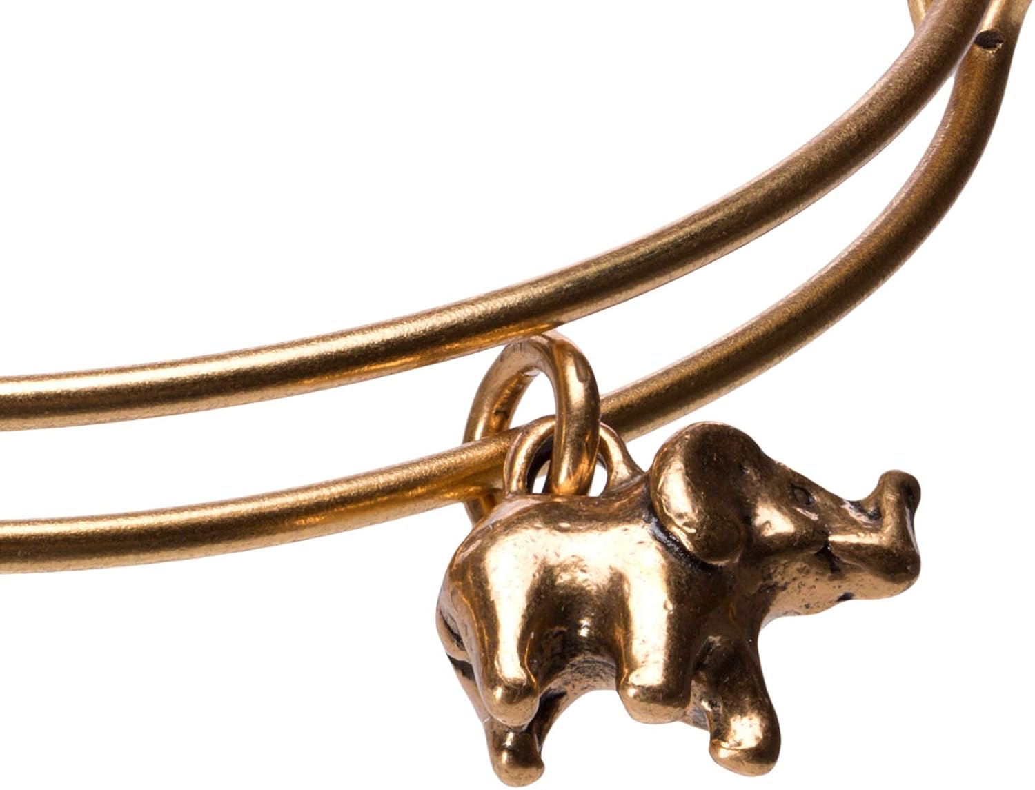 Alex and Ani Elephant II Rafaelian Silver Bangle Bracelet : Everything Else