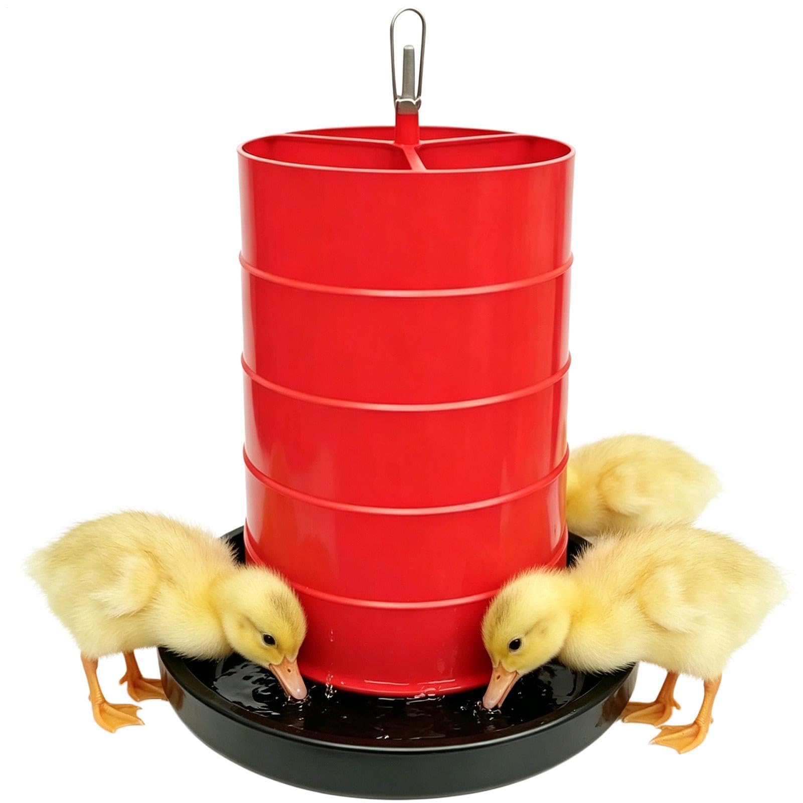 Distributeur d'eau pour poulets portable pour éviter l'eau sale dans le poulailler