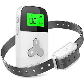 saltwater fish near me