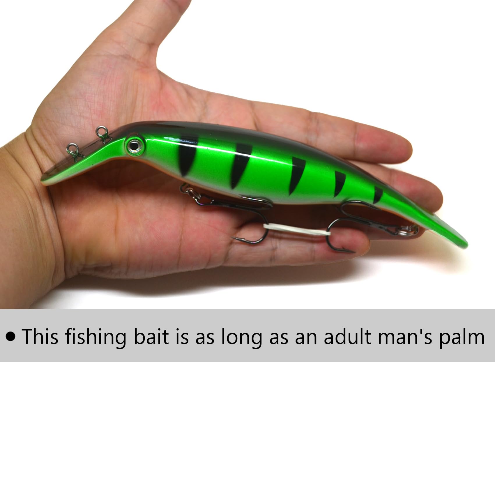 プラッキングルワー プラッキングルワー プラッキングルワー TROUT ZX | PRODUCTS