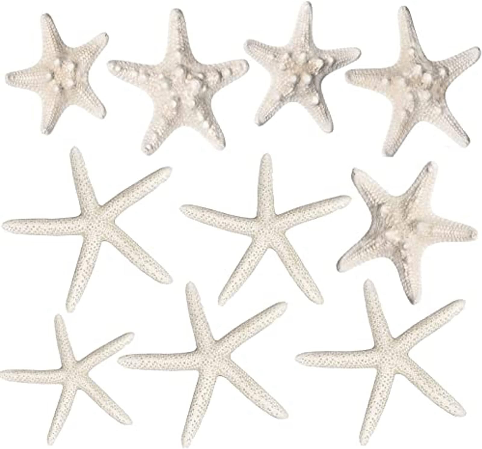 Starfish Decor - (10/12) Pack Assorted Star Fish - Starfish for Crafts - White Starfish Wall Décor - Beach Wedding Starfish - Beach Starfish Décor - Star Fish Decorations - Shells for Decoration (10)