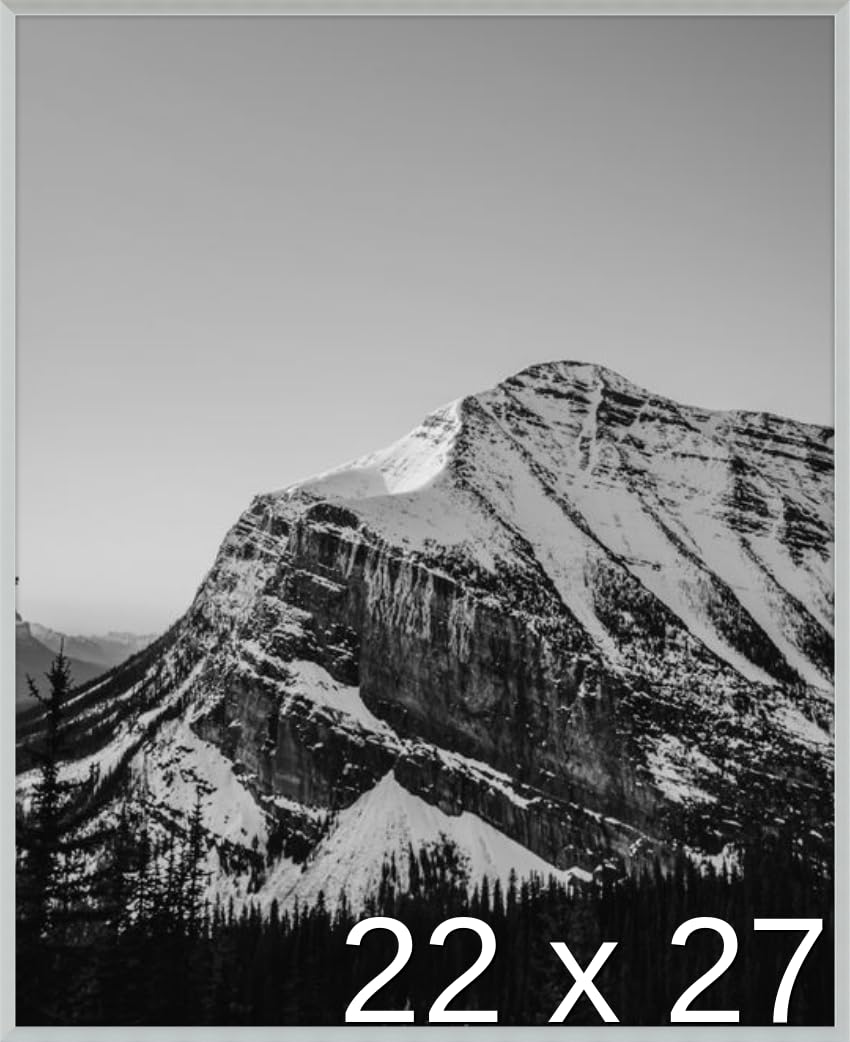 Frame It Easy 22 x 27 Satin Silver Metal Frame (Ashford)