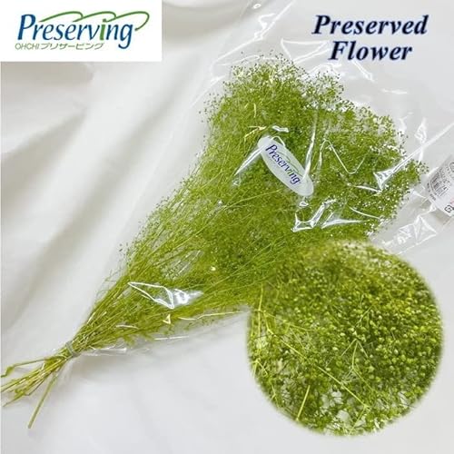 }ւŔ n_IvU[uht[ u22g \tg~jJX~ GWFO[vvU JX~\E JX~ ԍ n[oE  킢 v[g 蕨 II`mEG