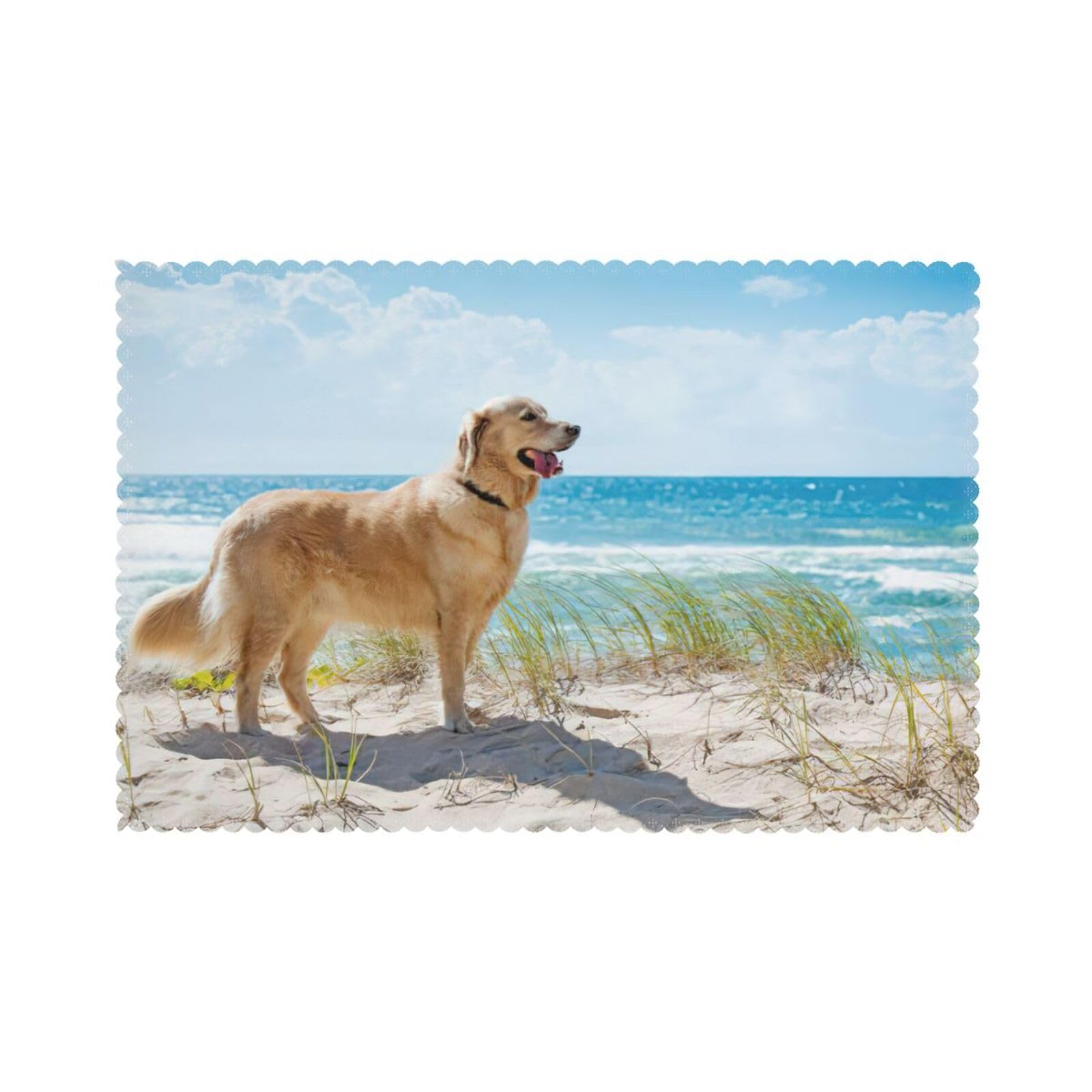 Set de table Golden Retriever en polyester | Lot de 6 lavables 30x45 cm