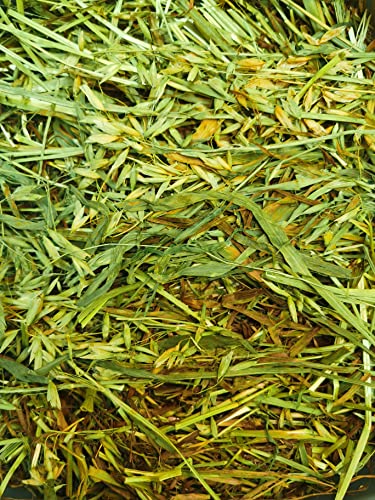 Cremas Y Lociones, Video On Demand Imagen adicional