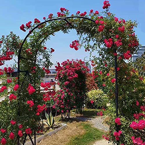 Arche de jardin en métal stable et étanche de 5m pour vos rosiers