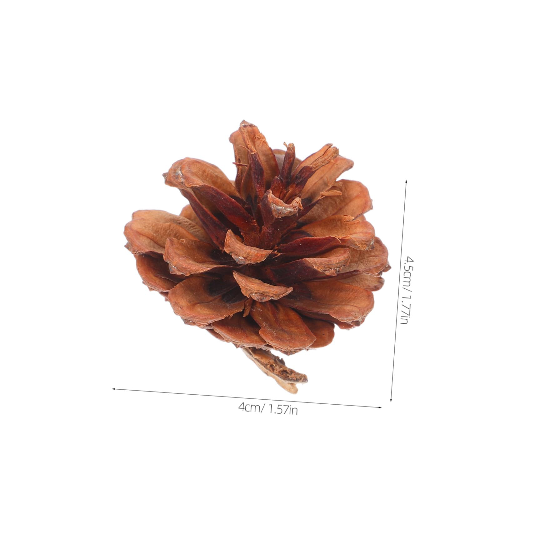 Garneck 130stücke Mini-kiefernzapfen aus Naturholz Mini-kiefernzapfen-Ornamente für Winter und Weihnachtsbasteleien Natürliche Tannenzapfen als Vasenfüller für DIY-Dekorationen