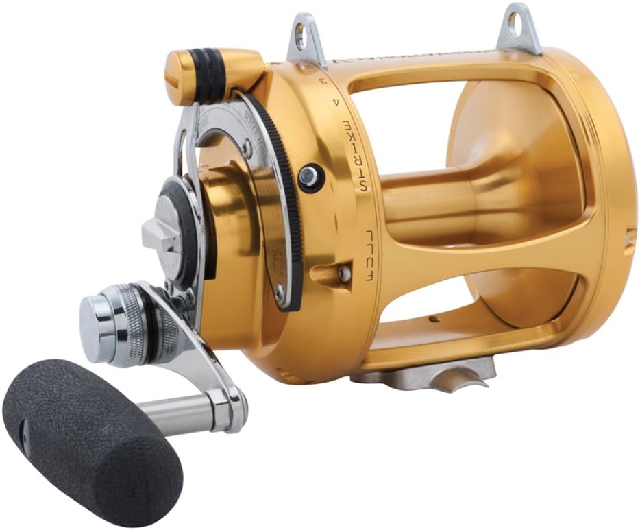 Penn International V-Series 2-Speed Fishing Reel