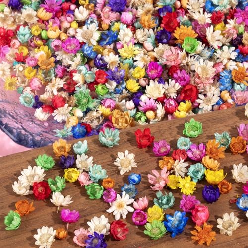 300 PCS Small Dried Flowers for Crafts - Mini Dried Flowers for Resin, Tiny Natural Real Dried...