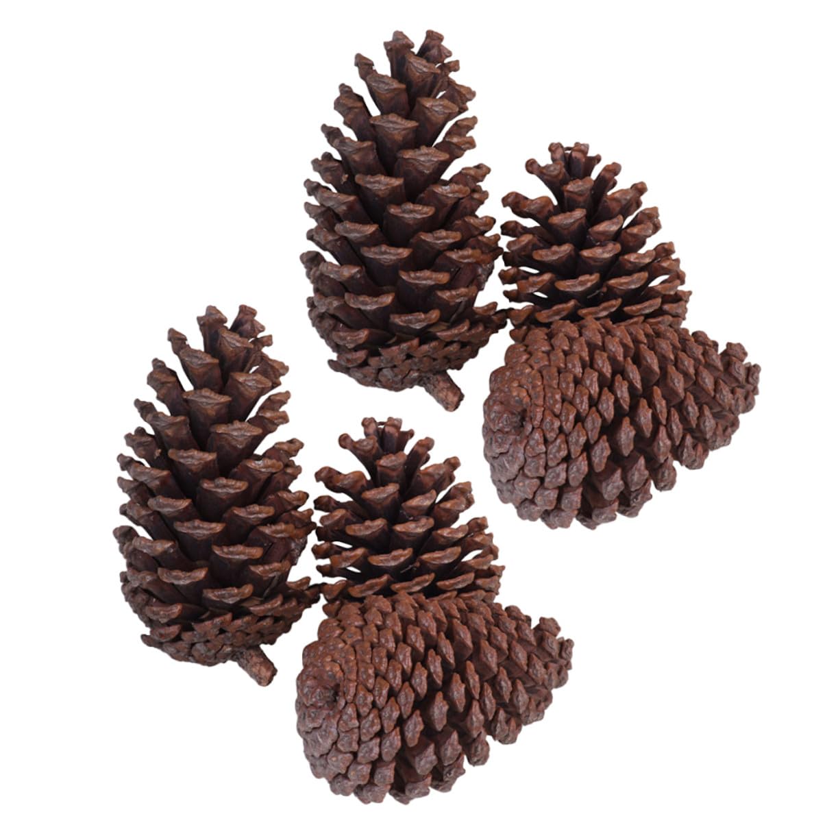 6 Piñas de Pino Secas para Árbol de Navidad o Sala, Adornos Navideños Naturales DIY