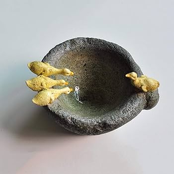 水鉢 石製品 120E769A-F06B-4E56-8230- 水鉢 石製品 120E769A-F06B-4E56-8230-