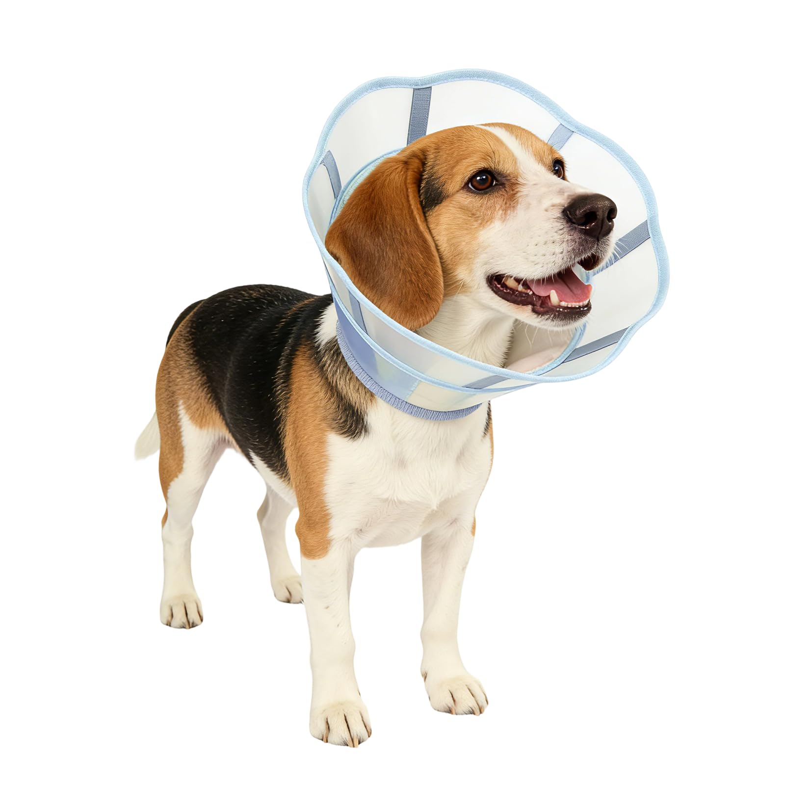 Soft Dog Cone Collar,Waterproof and Foldable Elizabethan Collar for Dogs After Surgery, No Lick Recovery E-Collar, Comfortable Protective Cone Alternative for Large Dogs (Blue, M(15.5-30.8LB))