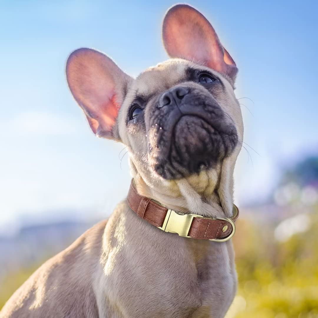 Beirui Soft & Breathable Leather Padded Dog Collar - Heavy Duty Leather Dog Collar with Durable Quick Release Buckle - Well Made Stylish Dog Collar Leather for Small Medium Large Dogs,Brown,L